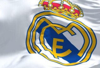 wp header logo17733925601604484838