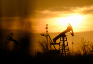 wp header logo177339960968319035