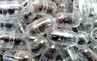 wp header logo17734104151484720613