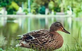 wp header logo1773414012875177860