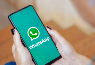 wp header logo17734284081319993744