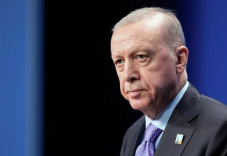 wp header logo177342847568530342