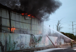 wp header logo1773428489817016625