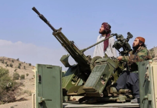 wp header logo1773432025838731593