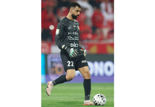 wp header logo17734500121111067867