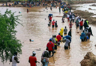 wp header logo17734536121763505682