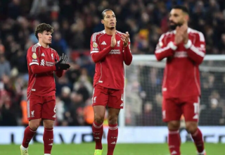 wp header logo17734788081575698796