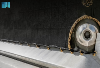 wp header logo17734896091269189525