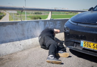 wp header logo17734896441831662138