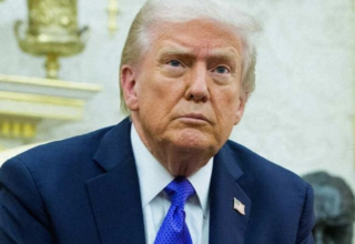 wp header logo17734968071629586165