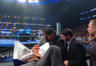 wp header logo1773496809700214963