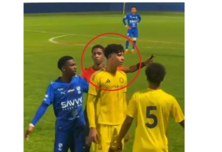 wp header logo17735004111645662537