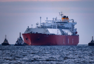 wp header logo17735076691004278119