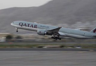 wp header logo17735113032126391676