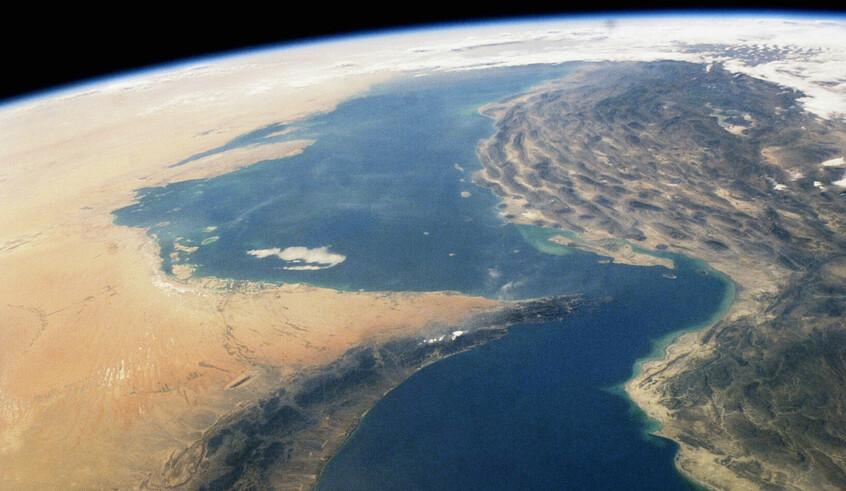 wp header logo1773522031868209088