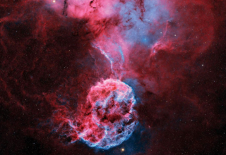 wp header logo17735364141429957367