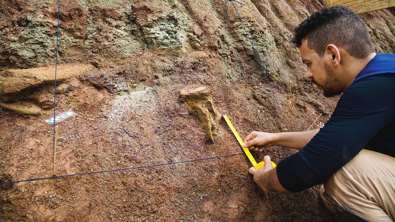 wp header logo17735364191475598063