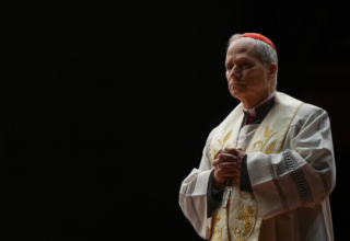 wp header logo1773583211743646047