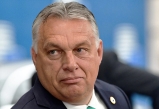 wp header logo17735868641327365982