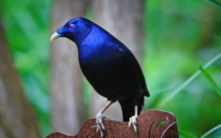 wp header logo17735976152098276361