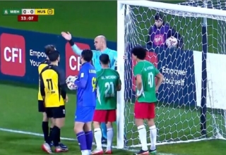 wp header logo1773622809345527308