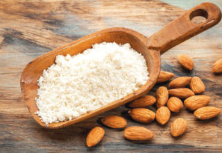 wp header logo17736228331284158735