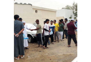 wp header logo17736228461183092403