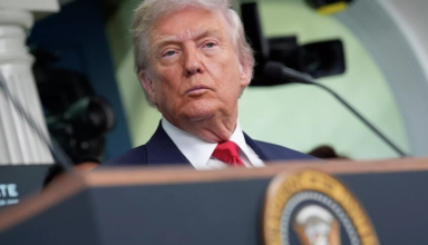 wp header logo177362643052875802