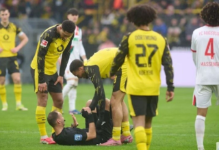 wp header logo17736480331700137741