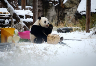 wp header logo17736480401628045283