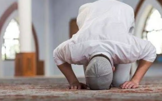 wp header logo1773680422495756121