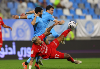 wp header logo17736912301754580116