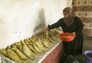 wp header logo17737092121442229357