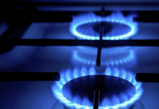 wp header logo1773734429563286502