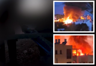 wp header logo17737776401772800341