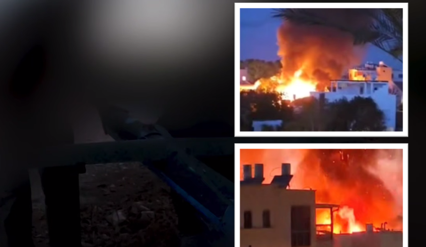 wp header logo17737776401772800341