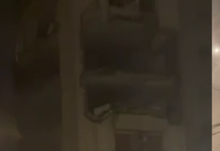 wp header logo17737956281143987729