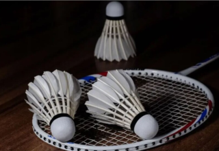 wp header logo17738316612074372916