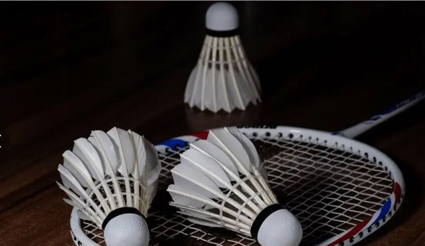 wp header logo17738316612074372916