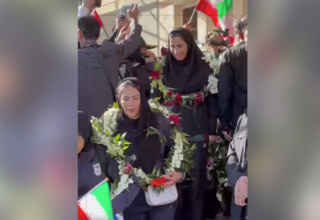 wp header logo1773842423600286263