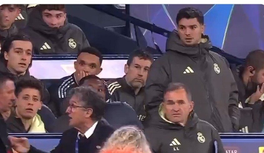 wp header logo17738460101436975932