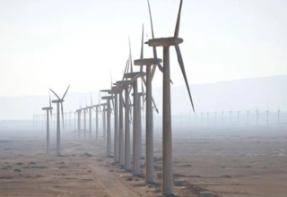 wp header logo17738460101538130706