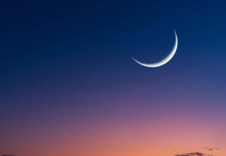 wp header logo17738496071740166434