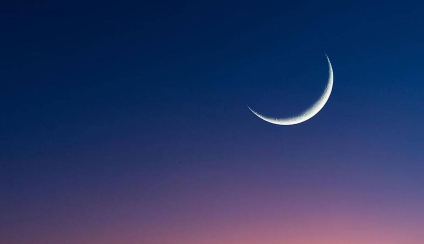 wp header logo17738496071740166434