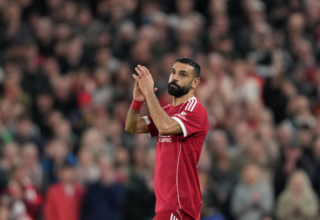 wp header logo17738748291341353593