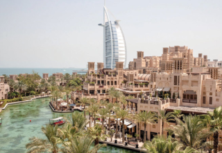 wp header logo17738784101810851239