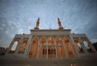 wp header logo177390361290630736