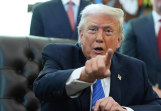 wp header logo17739036641054838112