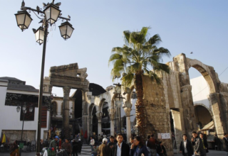 wp header logo17739180091572077350