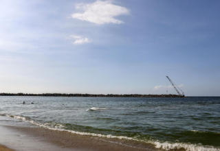 wp header logo17739180181614697987